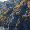 札幌市　紅葉の名所　豊平峡