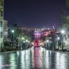 函館市八幡坂　夜景　雨上がり　2006